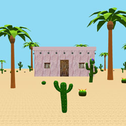 Desert Village