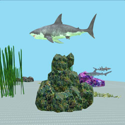 Shark Lair